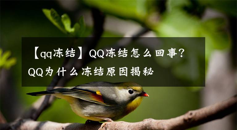 【qq凍結(jié)】QQ凍結(jié)怎么回事？QQ為什么凍結(jié)原因揭秘