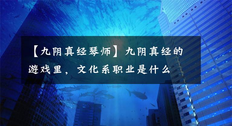 【九陰真經(jīng)琴師】九陰真經(jīng)的游戲里，文化系職業(yè)是什么