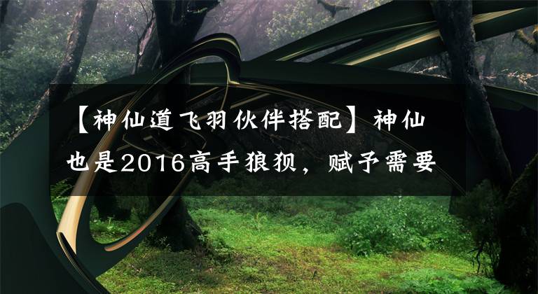 【神仙道飛羽伙伴搭配】神仙也是2016高手狼狽，賦予需要注意的細(xì)節(jié)。