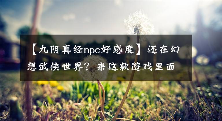 【九陰真經npc好感度】還在幻想武俠世界？來這款游戲里面，破除一切遺憾