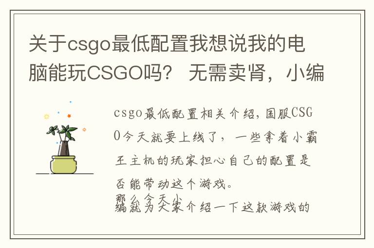 關(guān)于csgo最低配置我想說(shuō)我的電腦能玩CSGO嗎？ 無(wú)需賣腎，小編良心分析