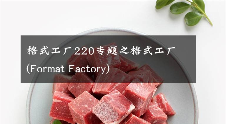 格式工廠220專題之格式工廠 (Format Factory)