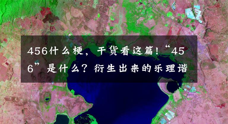 456什么梗，干貨看這篇!“456”是什么？衍生出來的樂理諧音梗，看一遍都反應(yīng)不過來是啥