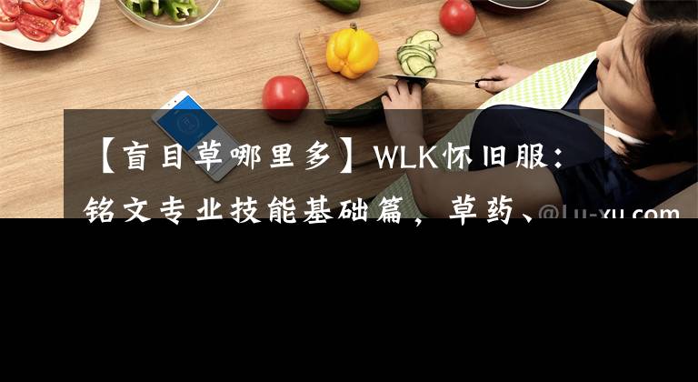 【盲目草哪里多】WLK懷舊服：銘文專業(yè)技能基礎篇，草藥、墨水之關系