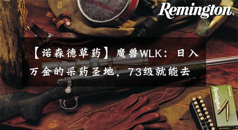 【諾森德草藥】魔獸WLK：日入萬(wàn)金的采藥圣地，73級(jí)就能去刷，掉落多種貴重草藥