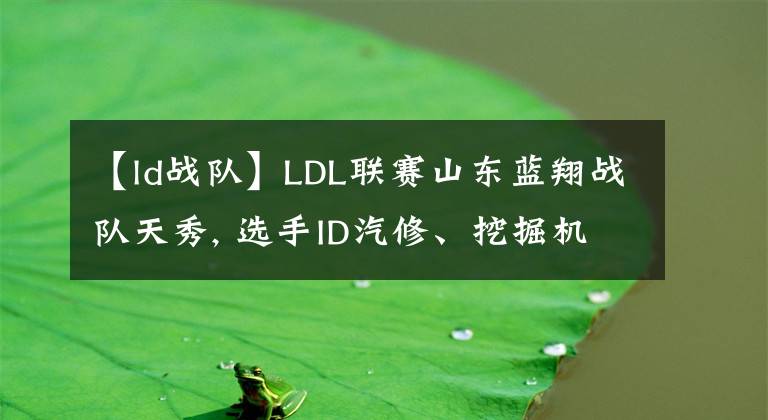 【ld戰(zhàn)隊(duì)】LDL聯(lián)賽山東藍(lán)翔戰(zhàn)隊(duì)天秀, 選手ID汽修、挖掘機(jī)、數(shù)控、美發(fā)?