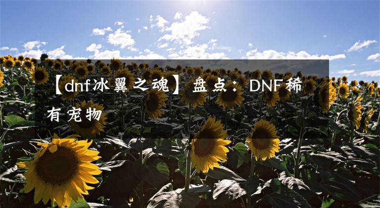 【dnf冰翼之魂】盤點：DNF稀有寵物