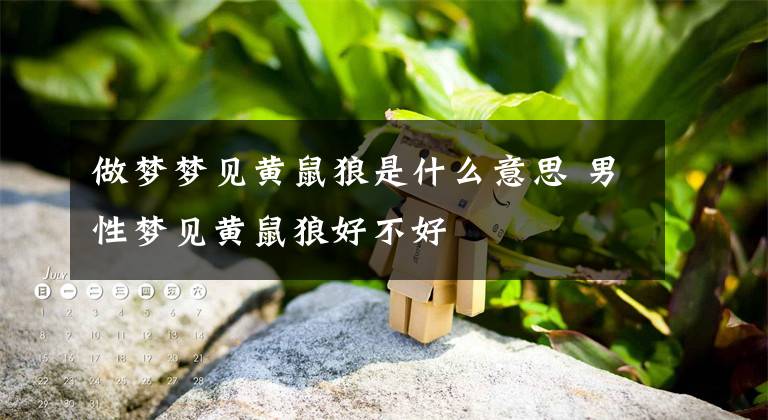 做夢夢見黃鼠狼是什么意思 男性夢見黃鼠狼好不好