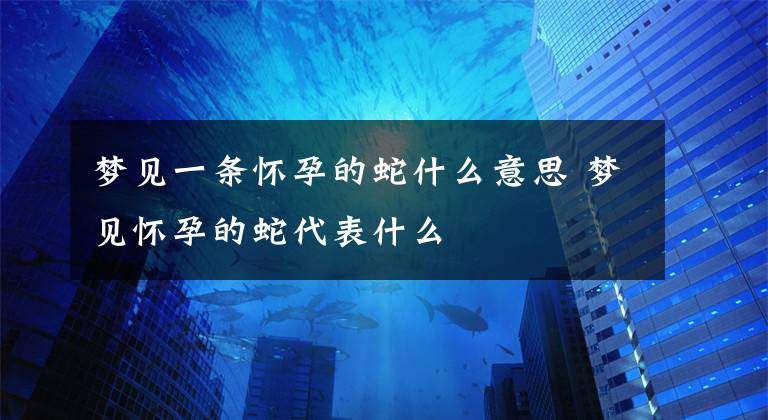 夢見一條懷孕的蛇什么意思 夢見懷孕的蛇代表什么