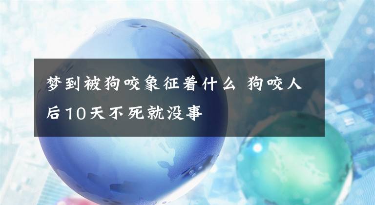 夢到被狗咬象征著什么 狗咬人后10天不死就沒事