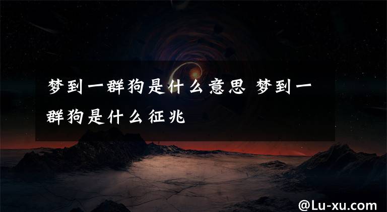 夢(mèng)到一群狗是什么意思 夢(mèng)到一群狗是什么征兆