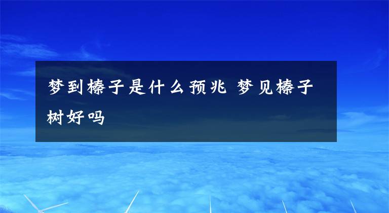 夢(mèng)到榛子是什么預(yù)兆 夢(mèng)見(jiàn)榛子樹(shù)好嗎