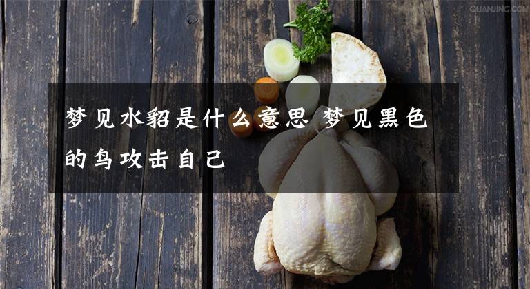 夢見水貂是什么意思 夢見黑色的鳥攻擊自己