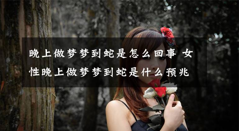 晚上做夢(mèng)夢(mèng)到蛇是怎么回事 女性晚上做夢(mèng)夢(mèng)到蛇是什么預(yù)兆