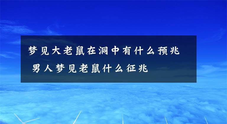 夢見大老鼠在洞中有什么預兆 男人夢見老鼠什么征兆