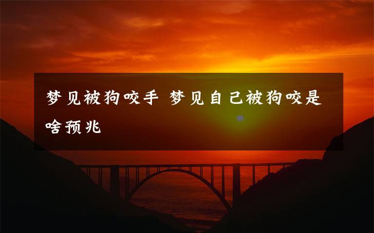 夢(mèng)見被狗咬手 夢(mèng)見自己被狗咬是啥預(yù)兆