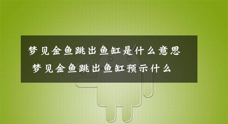 夢見金魚跳出魚缸是什么意思 夢見金魚跳出魚缸預(yù)示什么