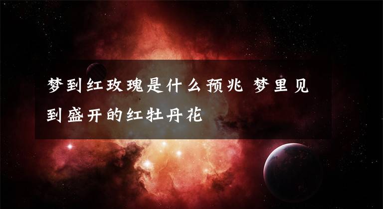 夢(mèng)到紅玫瑰是什么預(yù)兆 夢(mèng)里見到盛開的紅牡丹花