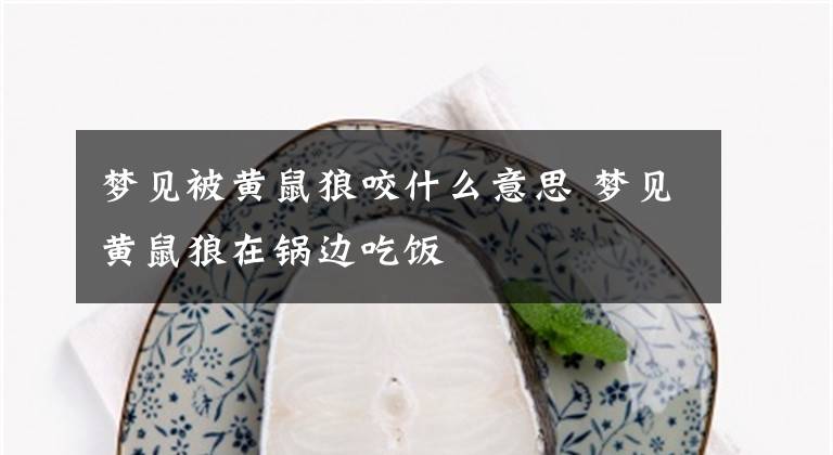 夢見被黃鼠狼咬什么意思 夢見黃鼠狼在鍋邊吃飯