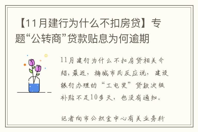 【11月建行為什么不扣房貸】專題“公轉(zhuǎn)商”貸款貼息為何逾期發(fā)放且無提醒？銀行這樣回應(yīng)...