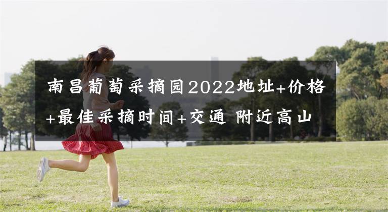 南昌葡萄采摘園2022地址+價(jià)格+最佳采摘時(shí)間+交通 附近高山葡萄采摘園