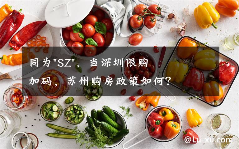 同為"SZ"，當深圳限購加碼，蘇州購房政策如何？