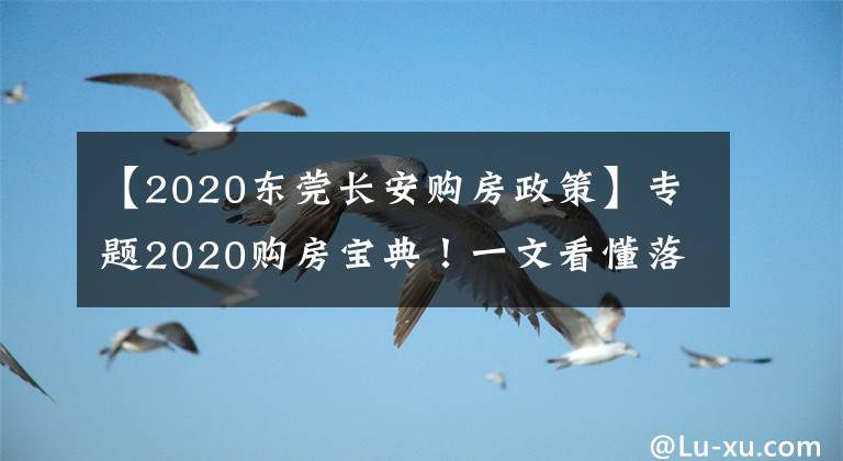 【2020東莞長安購房政策】專題2020購房寶典！一文看懂落戶/購房資格/貸款/二手房政策