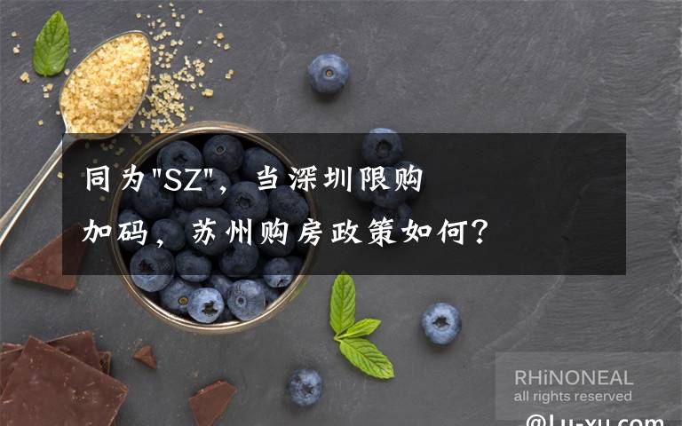 同為"SZ"，當深圳限購加碼，蘇州購房政策如何？