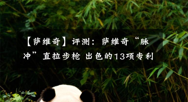 【薩維奇】評(píng)測(cè)：薩維奇“脈沖”直拉步槍 出色的13項(xiàng)專利設(shè)計(jì) 扭轉(zhuǎn)固有偏見