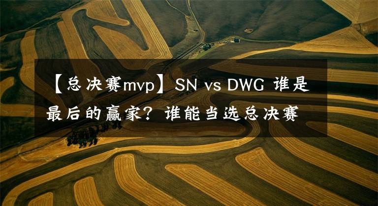 【總決賽mvp】SN vs DWG 誰是最后的贏家？誰能當(dāng)選總決賽MVP？