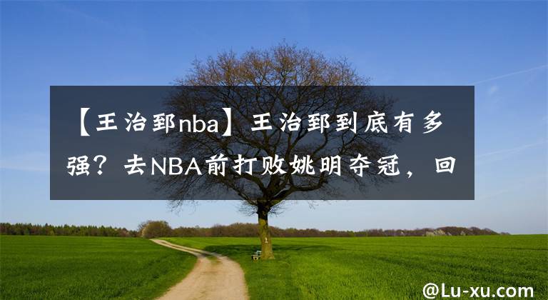 【王治郅nba】王治郅到底有多強(qiáng)？去NBA前打敗姚明奪冠，回來(lái)后戰(zhàn)勝阿聯(lián)奪冠