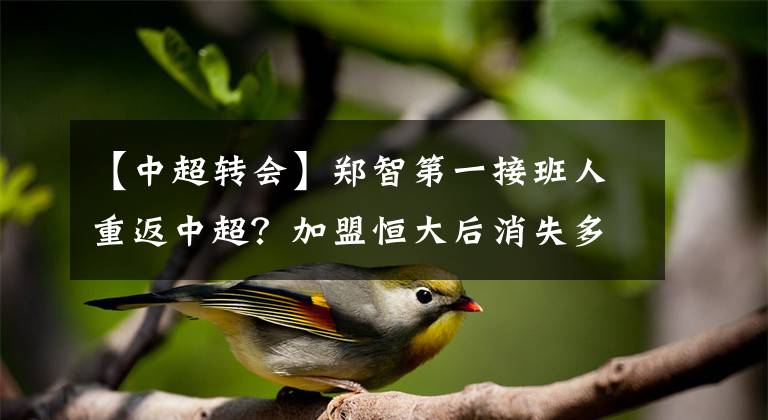 【中超轉(zhuǎn)會】鄭智第一接班人重返中超？加盟恒大后消失多年，如今被升班馬看中！