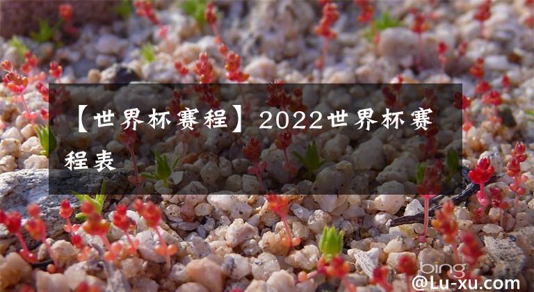 【世界杯賽程】2022世界杯賽程表