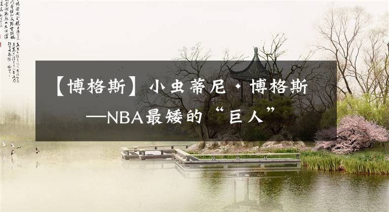 【博格斯】小蟲蒂尼·博格斯——NBA最矮的“巨人”