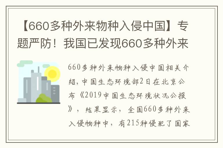 【660多種外來物種入侵中國】專題嚴(yán)防！我國已發(fā)現(xiàn)660多種外來入侵物種 小龍蝦曾上榜