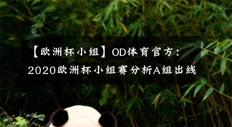 【歐洲杯小組】OD體育官方：2020歐洲杯小組賽分析A組出線形式