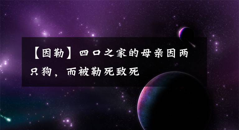 【因勒】四口之家的母親因兩只狗，而被勒死致死