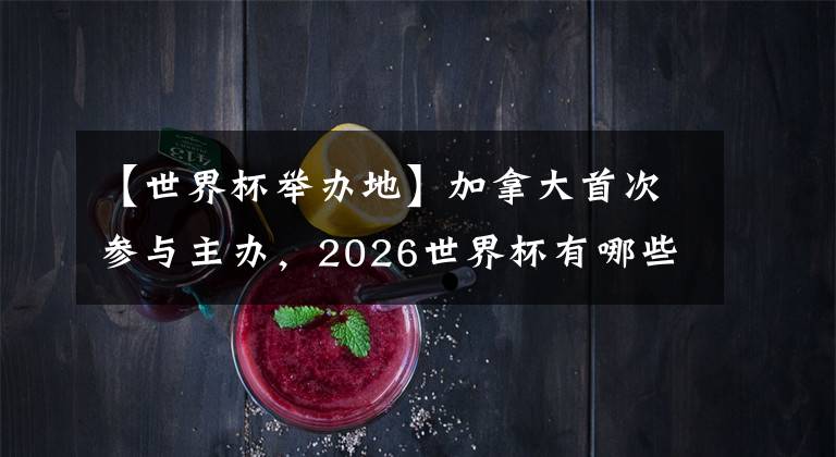 【世界杯舉辦地】加拿大首次參與主辦，2026世界杯有哪些舉辦地？ (上)