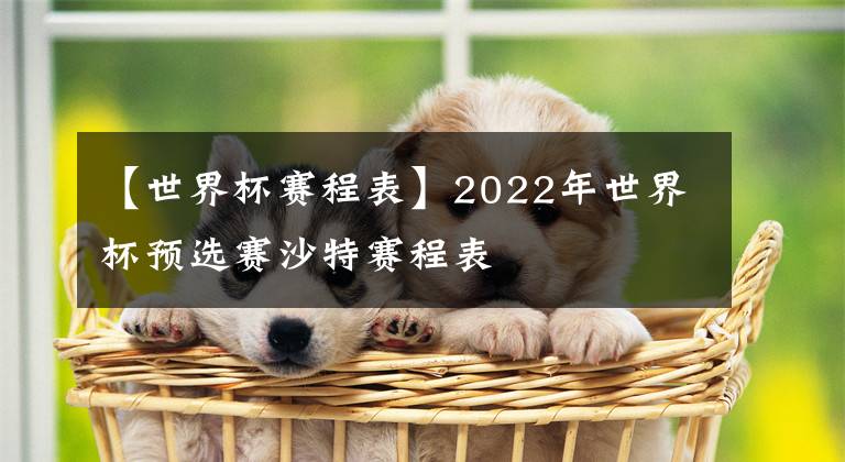 【世界杯賽程表】2022年世界杯預選賽沙特賽程表