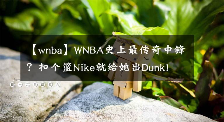 【wnba】WNBA史上最傳奇中鋒？扣個(gè)籃Nike就給她出Dunk! | XKiX