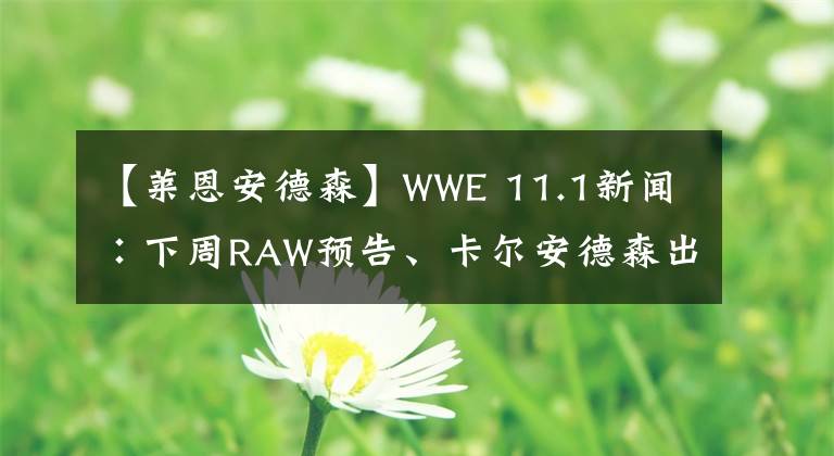 【萊恩安德森】WWE 11.1新聞∶下周RAW預(yù)告、卡爾安德森出軌、送葬者支持特朗普、布萊恩腎臟受傷..