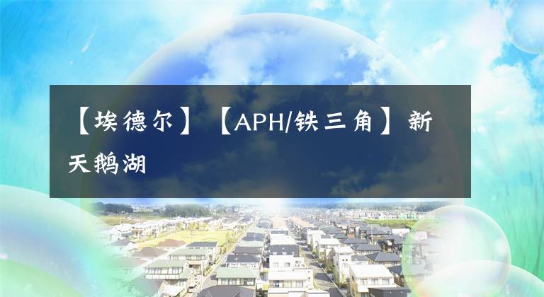 【埃德爾】【APH/鐵三角】新天鵝湖