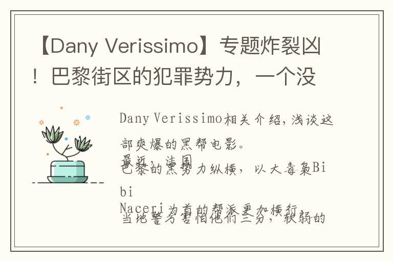 【Dany Verissimo】專題炸裂兇！巴黎街區(qū)的犯罪勢力，一個沒有法律制度的地方