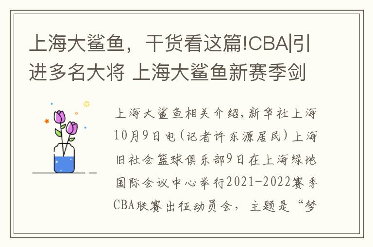 上海大鯊魚，干貨看這篇!CBA|引進多名大將 上海大鯊魚新賽季劍指季后賽