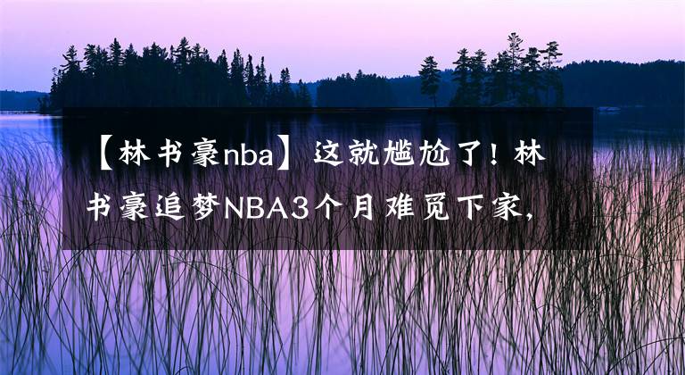 【林書豪nba】這就尷尬了! 林書豪追夢NBA3個月難覓下家, 將重返CBA加盟首鋼