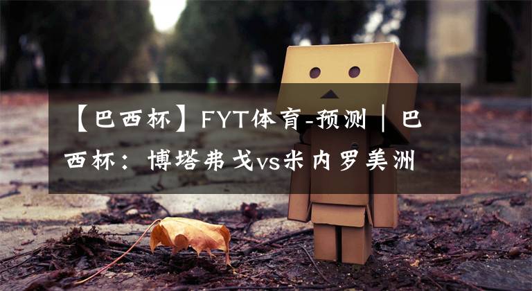 【巴西杯】FYT體育-預(yù)測(cè)｜巴西杯：博塔弗戈vs米內(nèi)羅美洲