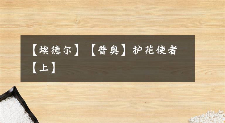 【埃德?tīng)枴俊酒諍W】護(hù)花使者【上】