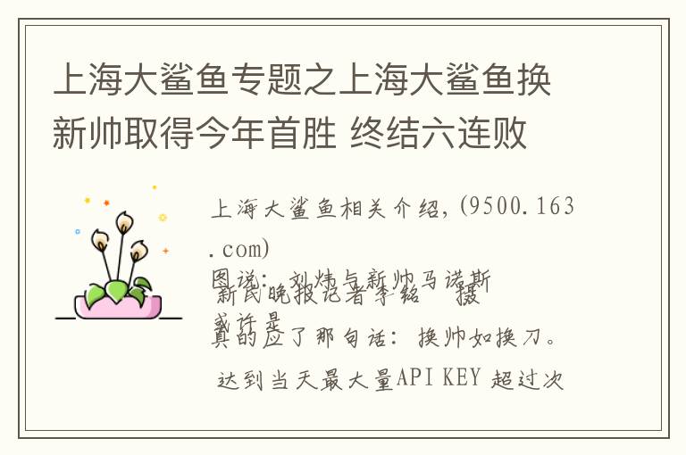 上海大鯊魚專題之上海大鯊魚換新帥取得今年首勝 終結(jié)六連敗