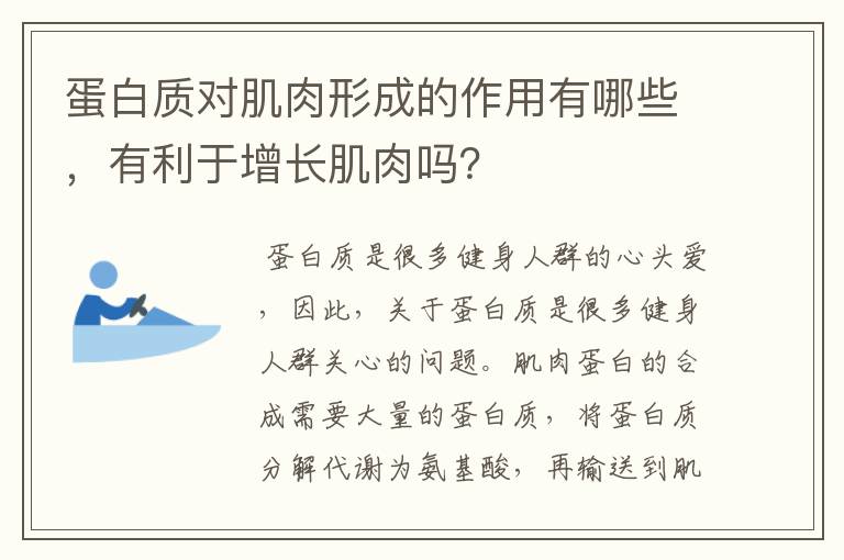 蛋白質(zhì)對(duì)肌肉形成的作用有哪些，有利于增長(zhǎng)肌肉嗎？