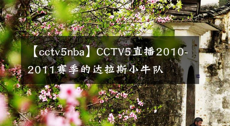 【cctv5nba】CCTV5直播2010-2011賽季的達(dá)拉斯小牛隊(duì)